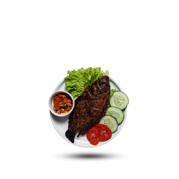 Grilled Tilapia Only