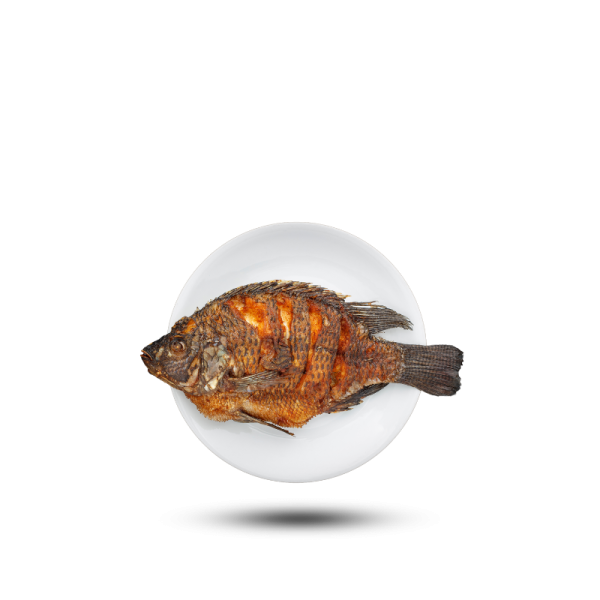 Fried Tilapia